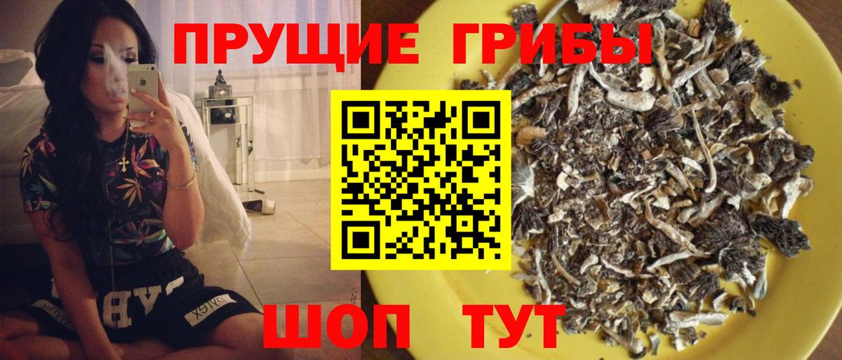 Новочеркасск  Псилоцибиновые грибы мухоморы  Вход с VPN 